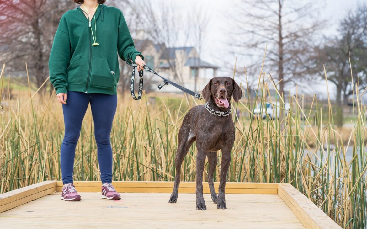 woman holding onto dog leash outdoors on a dock