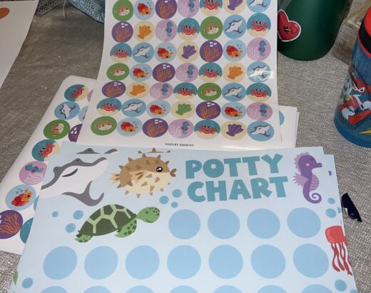 Ocean Sticker Chart for Kids Potty Training Chart for Toddlers Boys - Potty Chart for Girls with Stickers, Potty Training Sticker Chart for Girls Potty, Potty Chart for Boys with Stickers